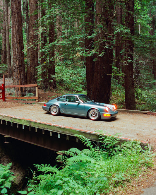 964 in the Redwoods