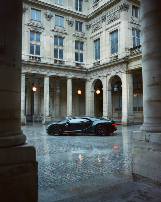 Bug in the Rain