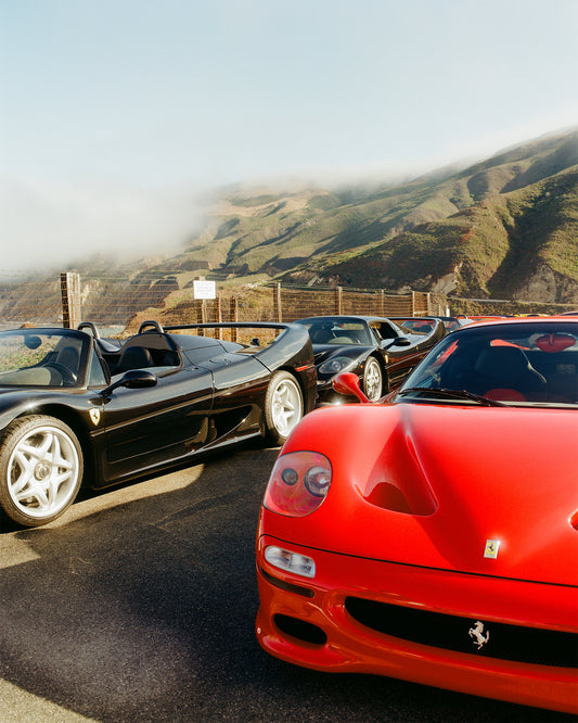F50's in Big Sur Detail