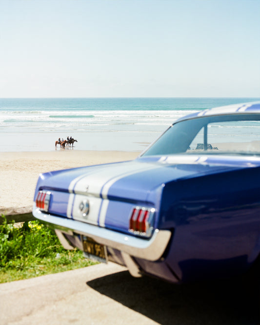 Mustangs