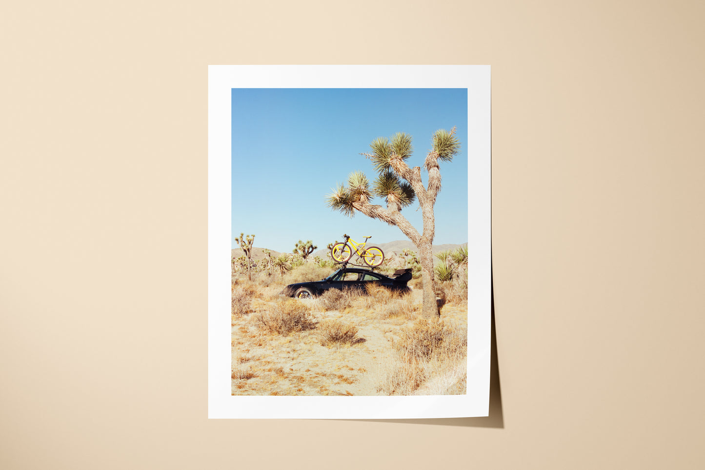 RWB Joshua Tree