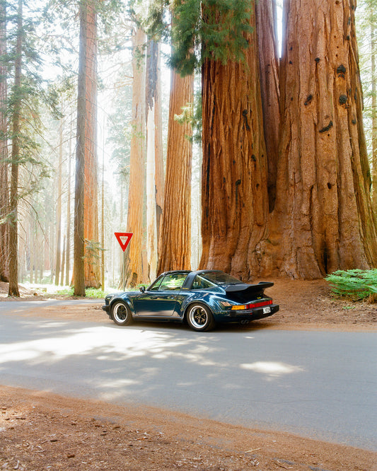 Turbo Targa in Sequoia