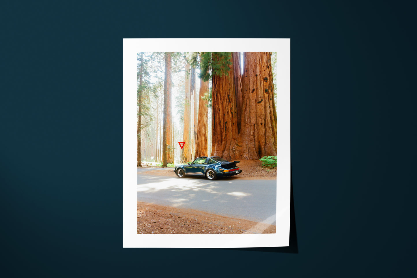 Turbo Targa in Sequoia