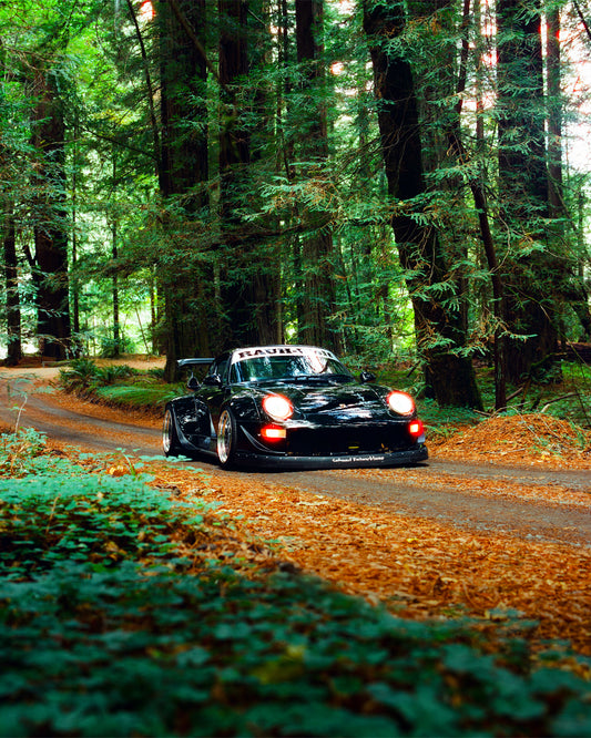 RWB Redwoods